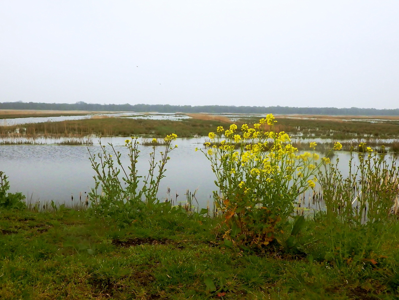 Nationalpark de Weerribben