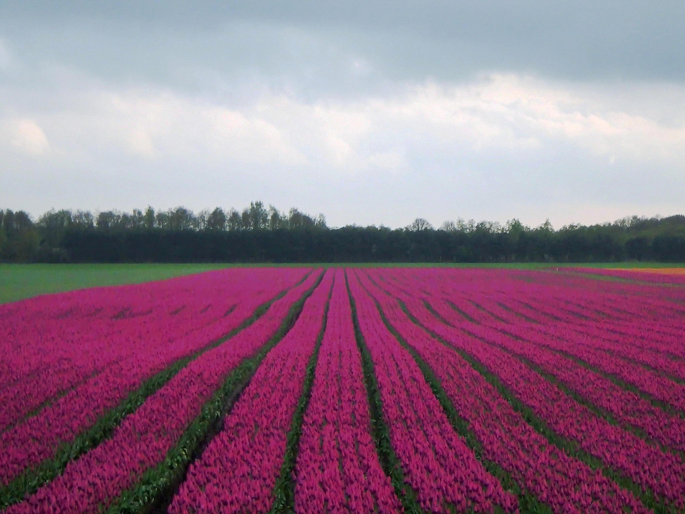 Hijkerveld