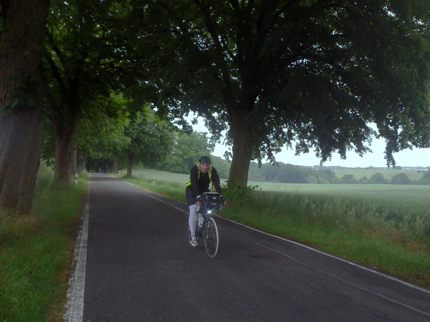 Allee nach Sternberg