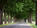 Kastanienallee nach Bad Wilsnack