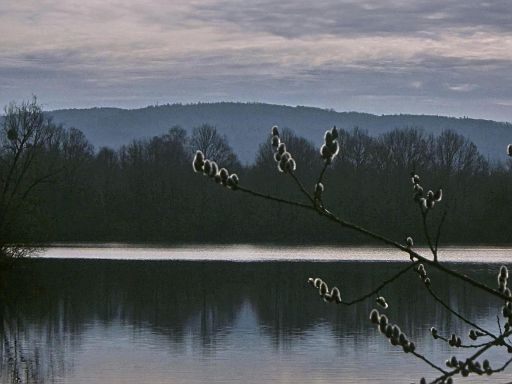 Sassenbergsche Teiche