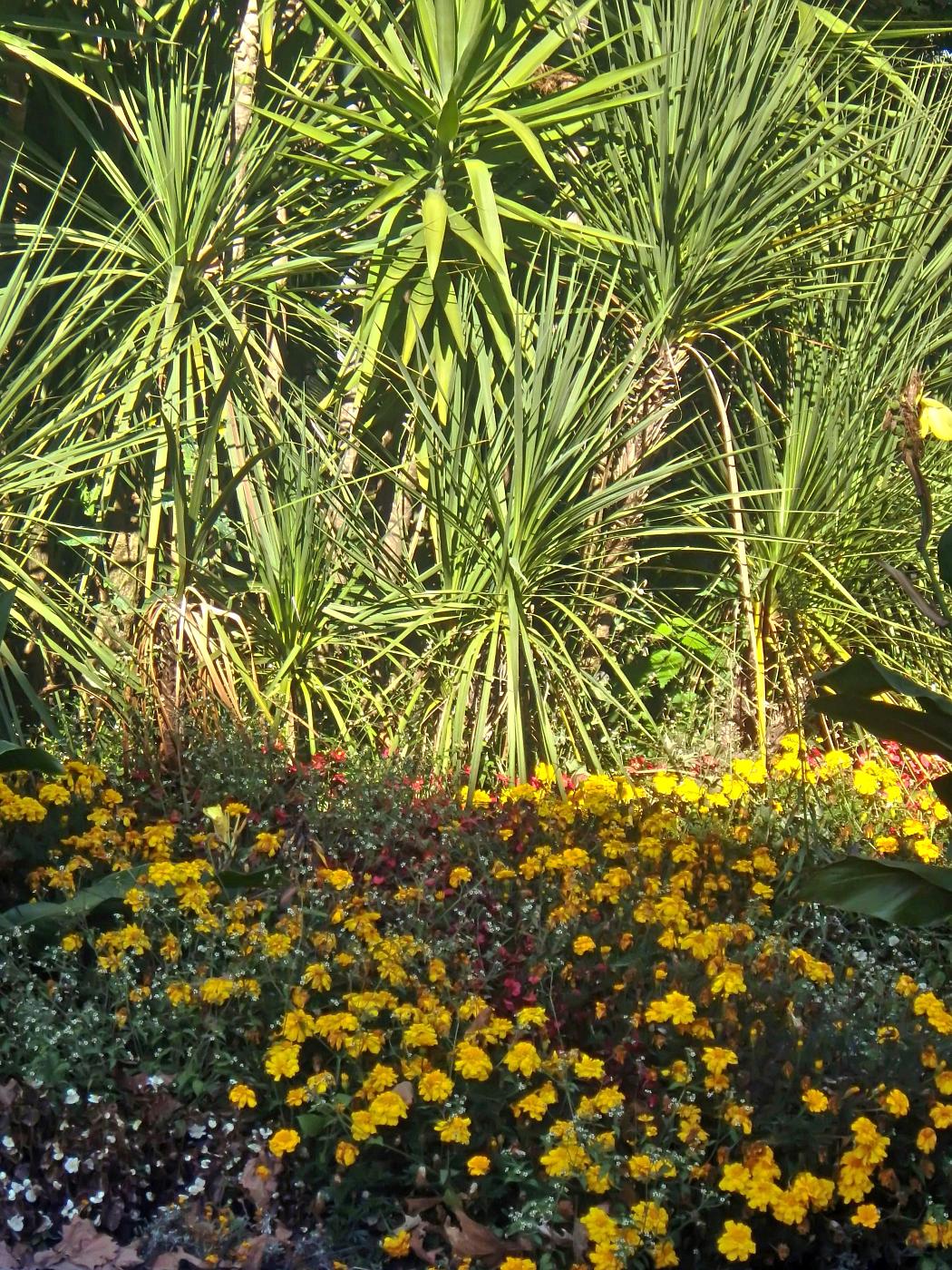 Blumen bei der Heidenmauer