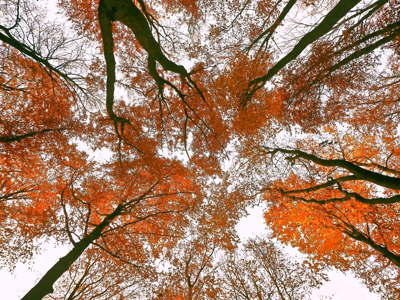 Herbstlicher Himmel