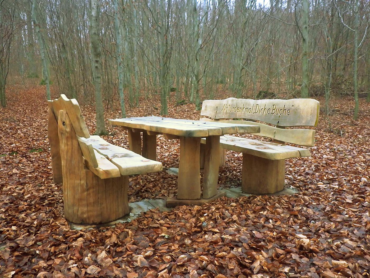 Picknickplatz an der Dicken Buche