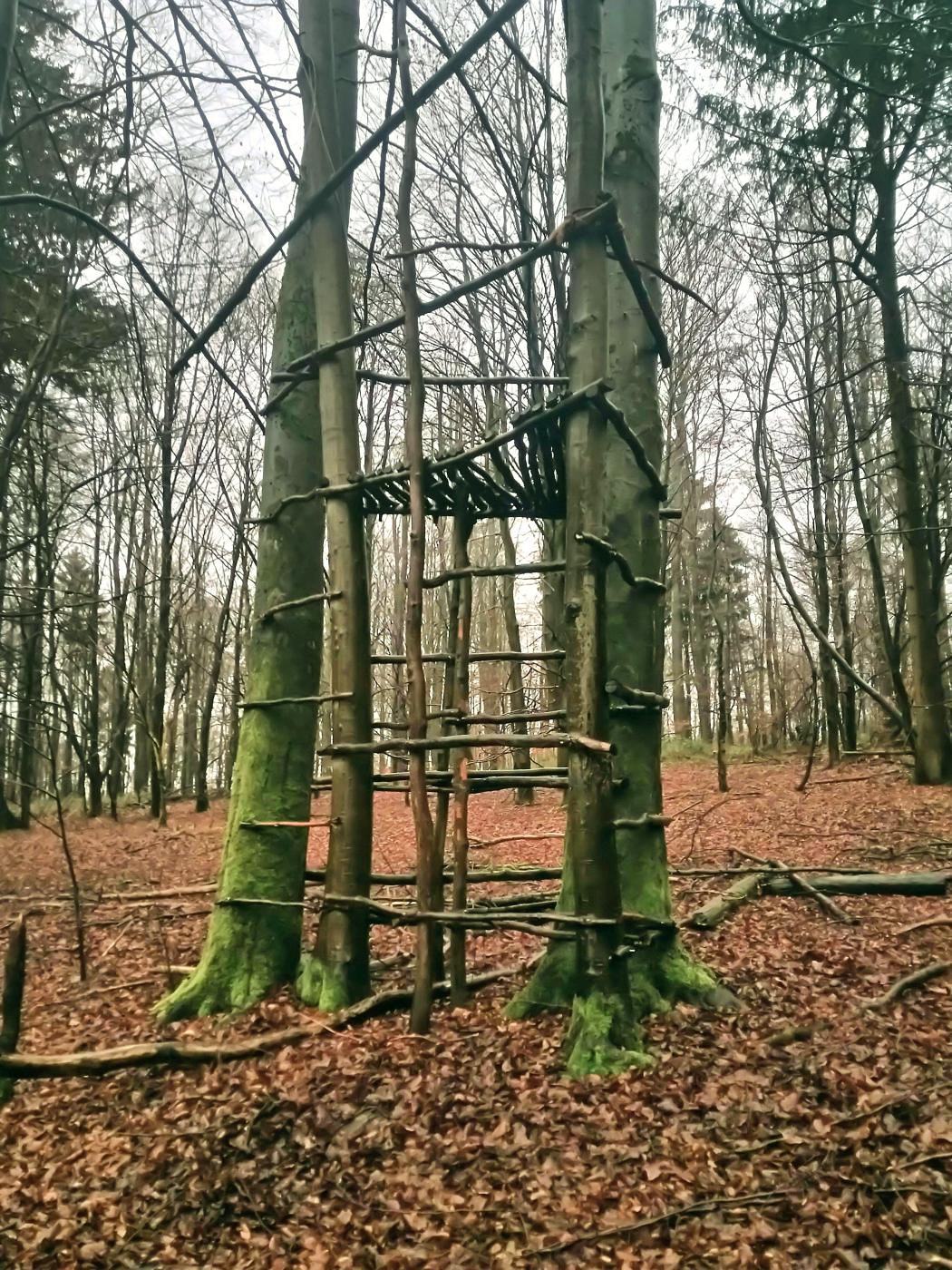 Bau eines Hochsitzes mit lebenden Pfeilern