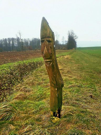 Sweny, der Zwerg mit den zwei Gesichtern