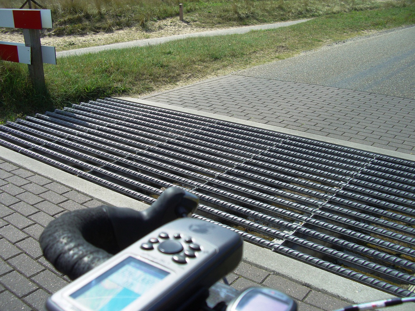 Cattle grid in Kennemerland