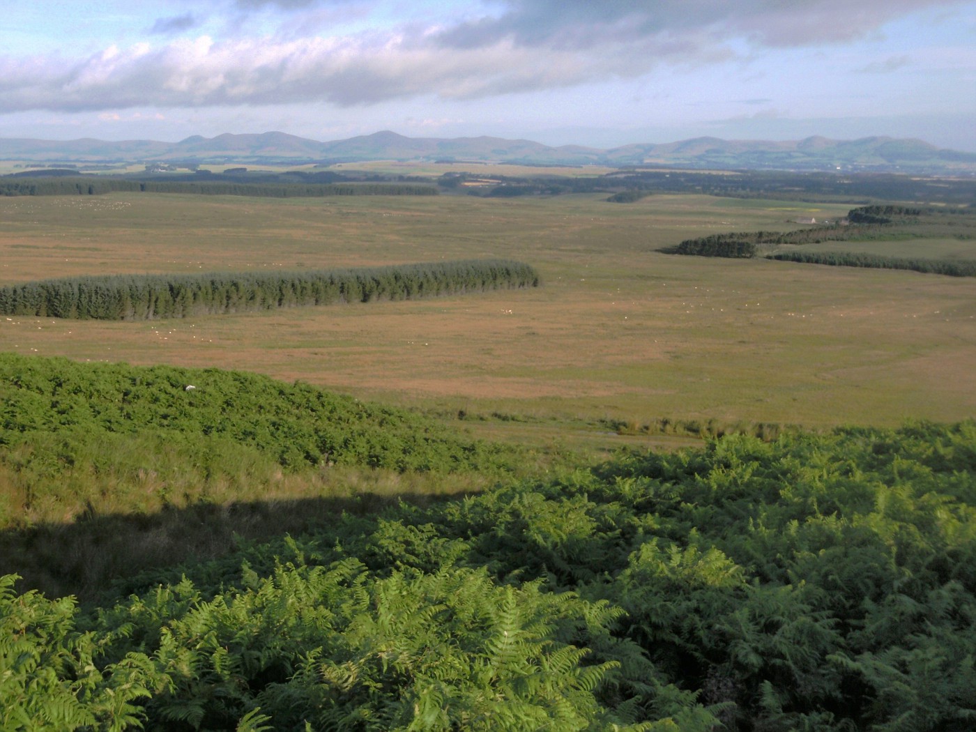 Landscape of Scotland