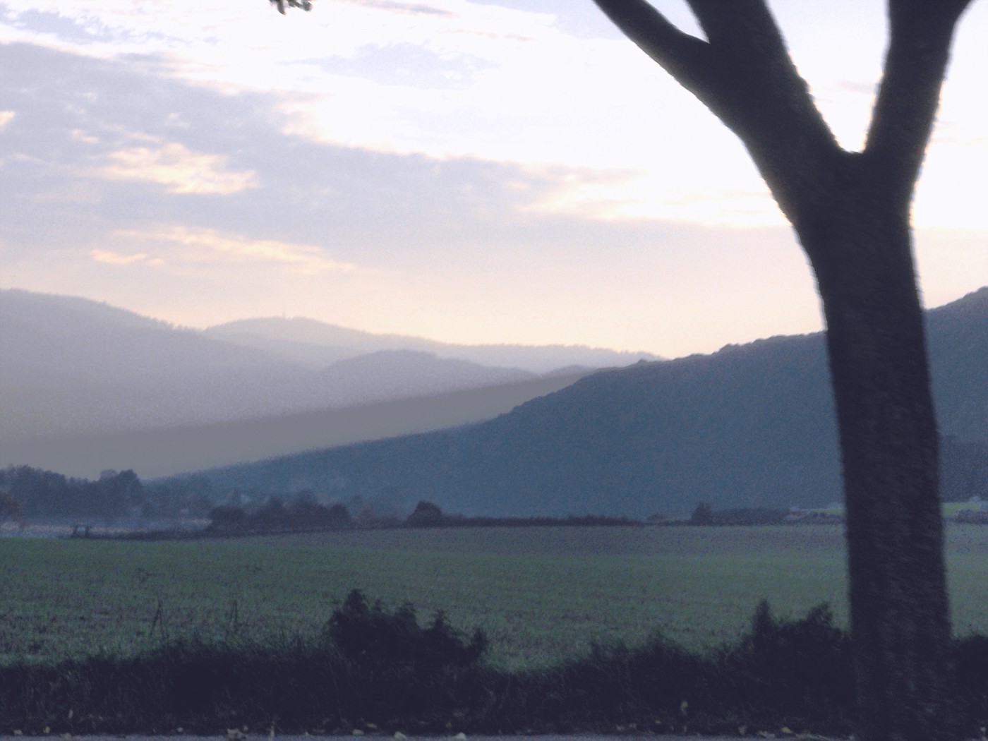 Die Sonne drängt sich durch den Nebel