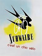 Schwalbe vélo