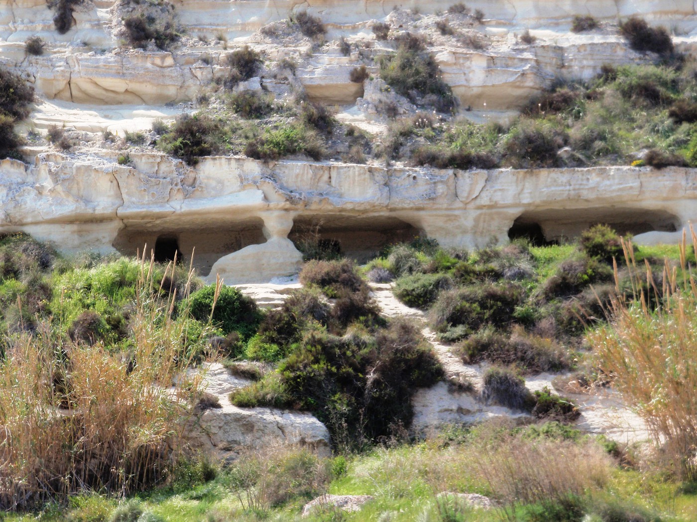 Playa Agua Amarga