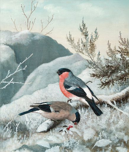 Bullfinches (1897)