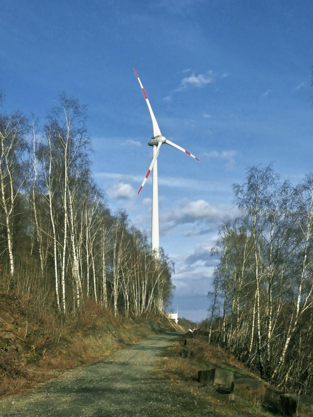 Windkraftwerk