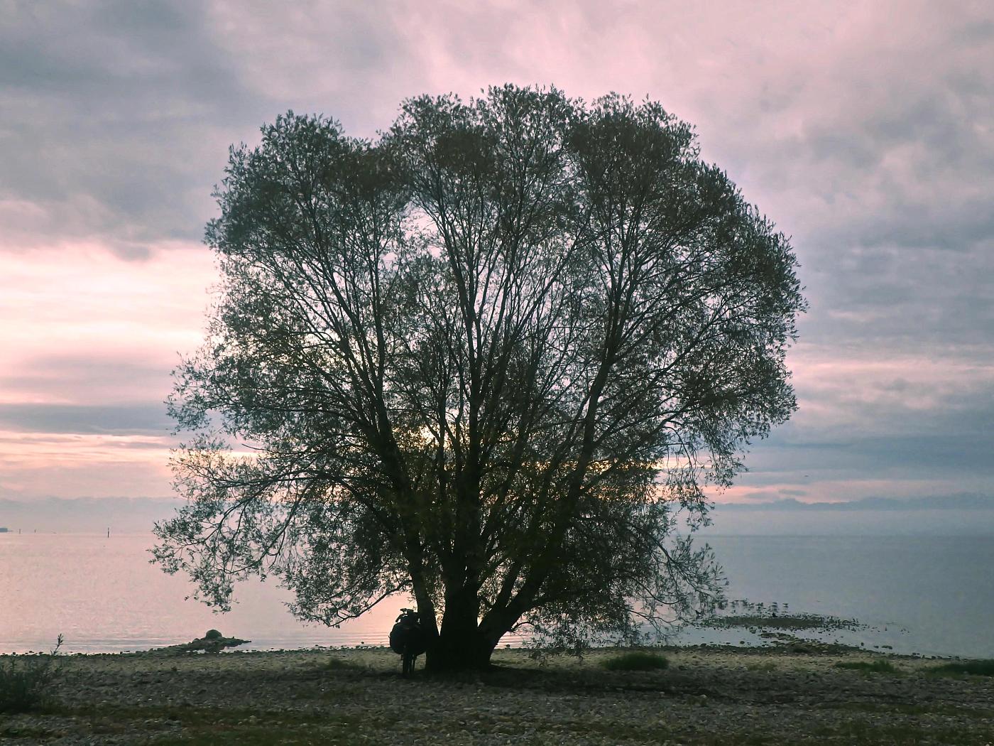 Abendstimmung