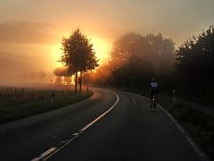 Neblige Sonne in Fischbeck