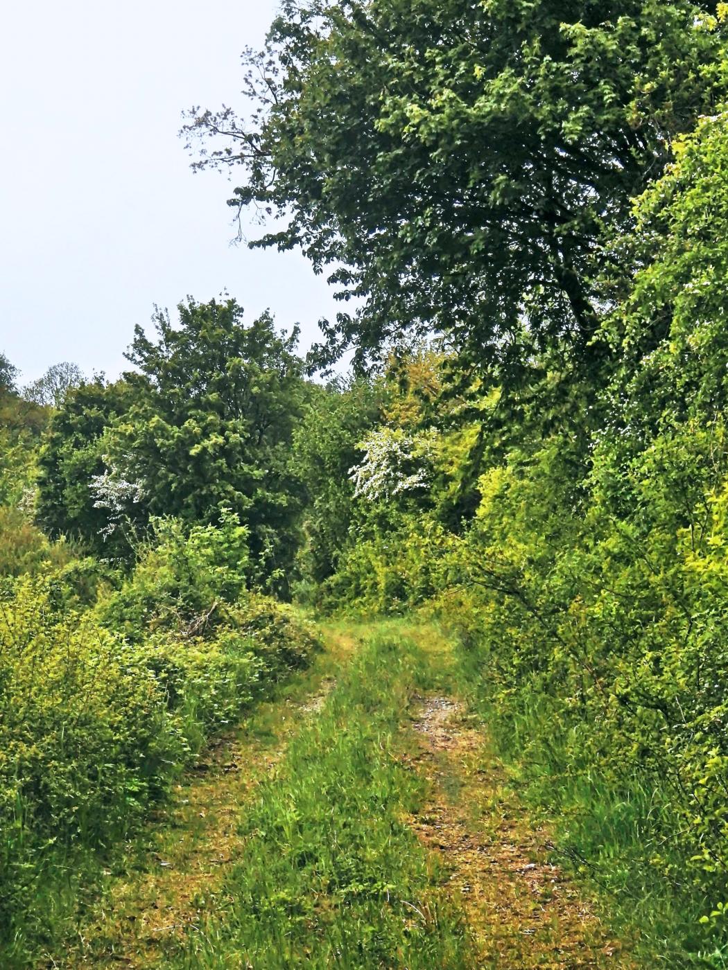 Der Weg ist das Ziel