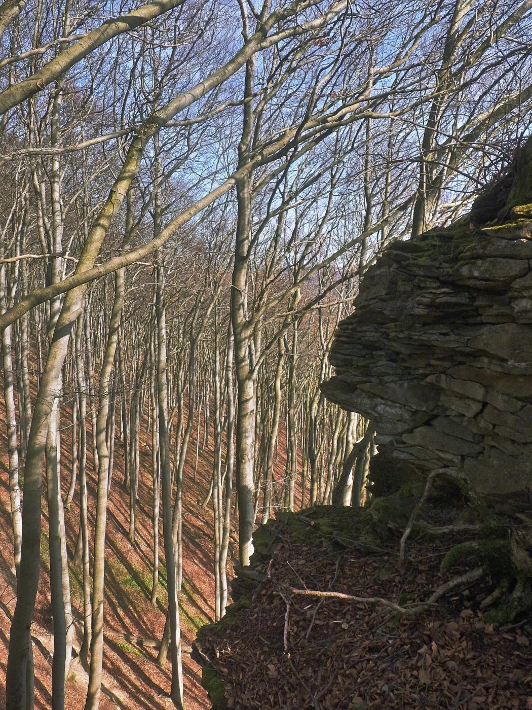 An der Teufelskanzel