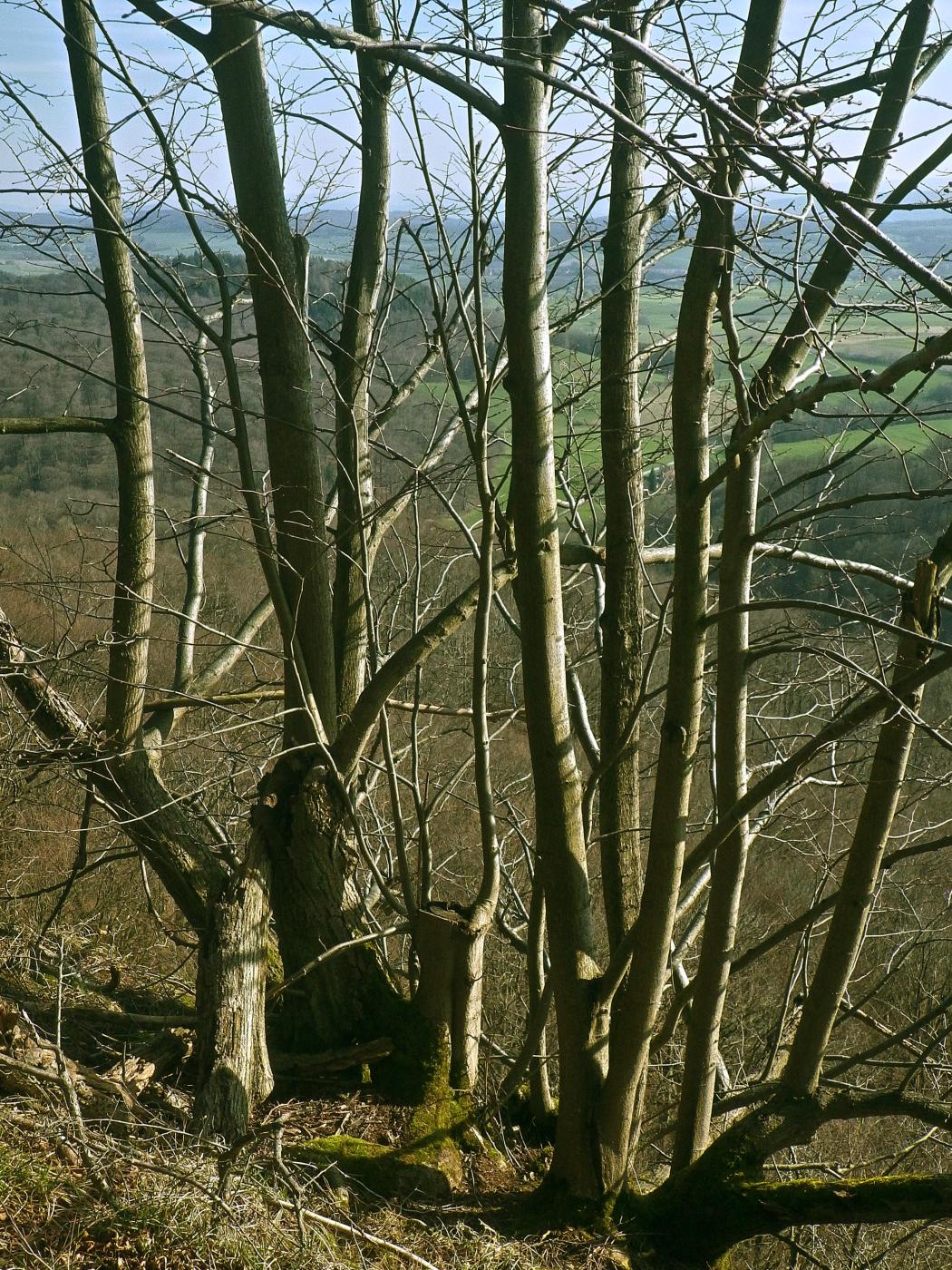 Blick von Niedersachsenwand