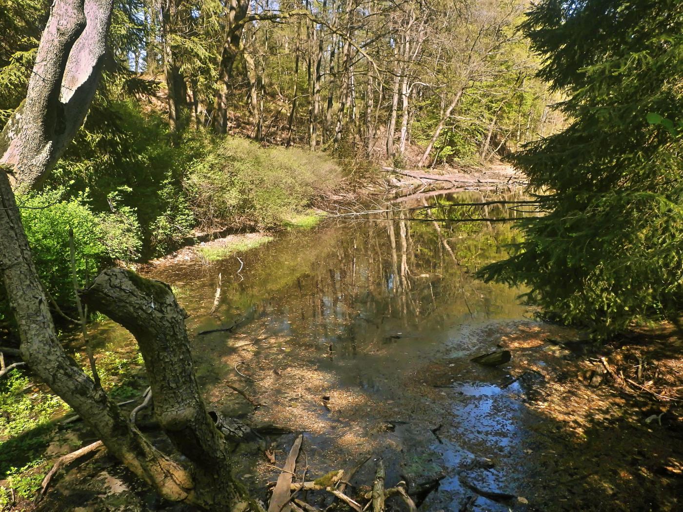 Furlbach an der Tütgemühle