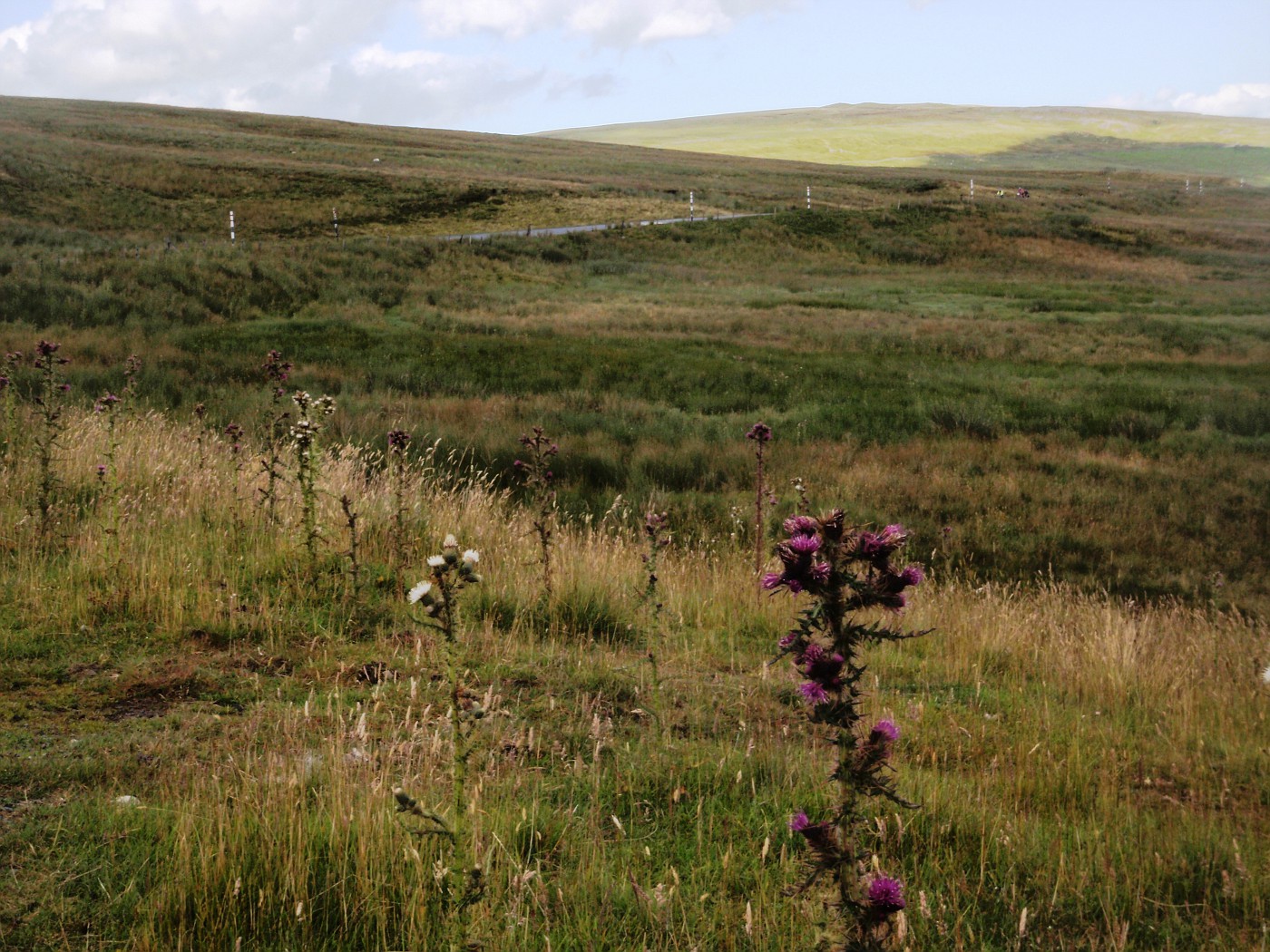 High moorland Cumbria, England