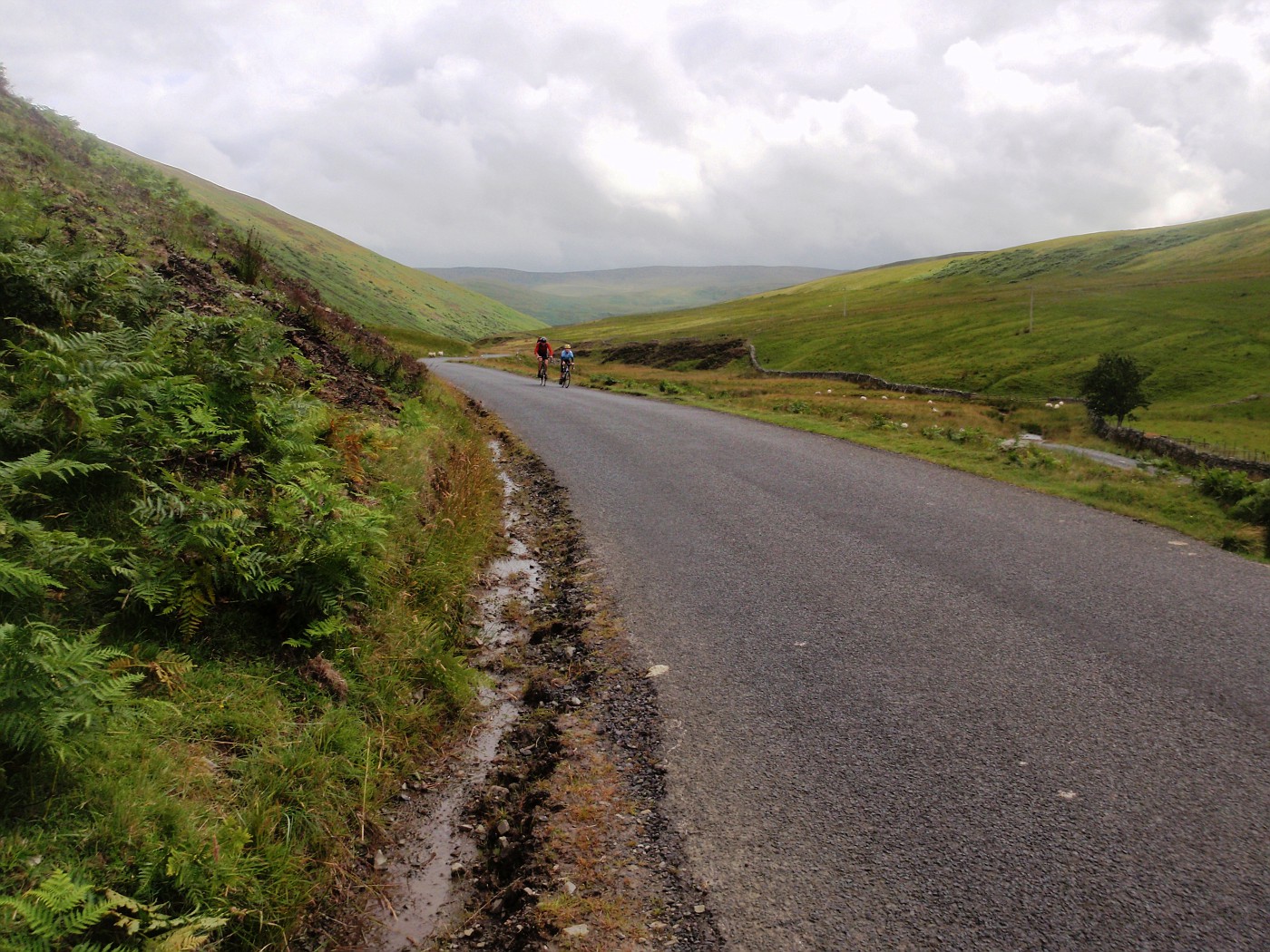 Road through Scottish hills