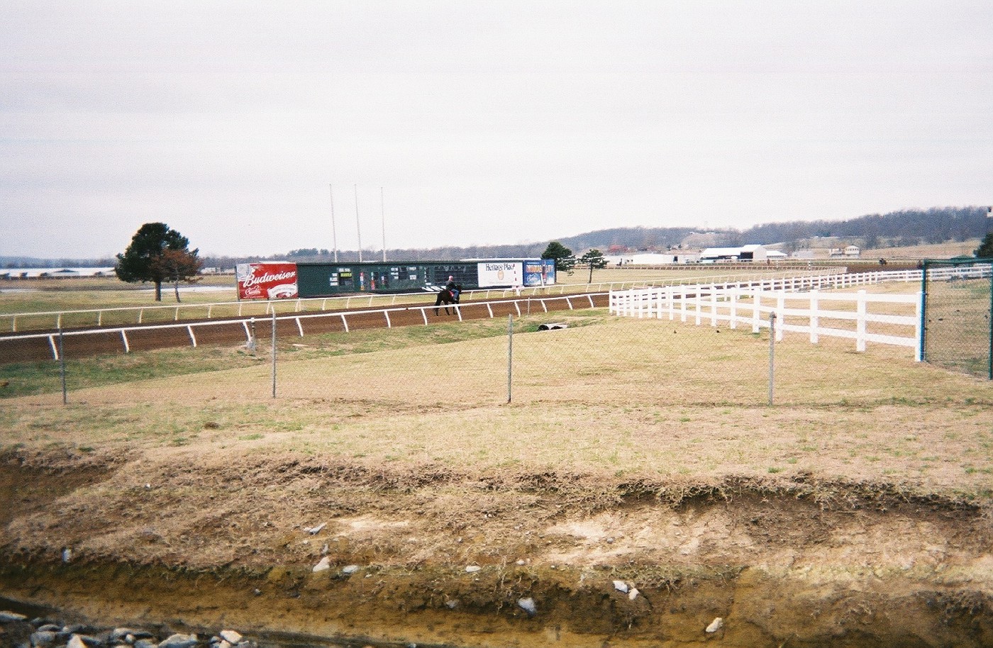 Photo Horse Works Out at Will Rogers Downs in Claremore, Oklahoma