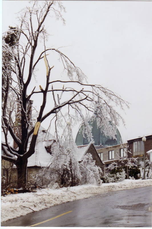 Photo 06 Montreal Ice Storm 59 January 1998 color adj 800pix