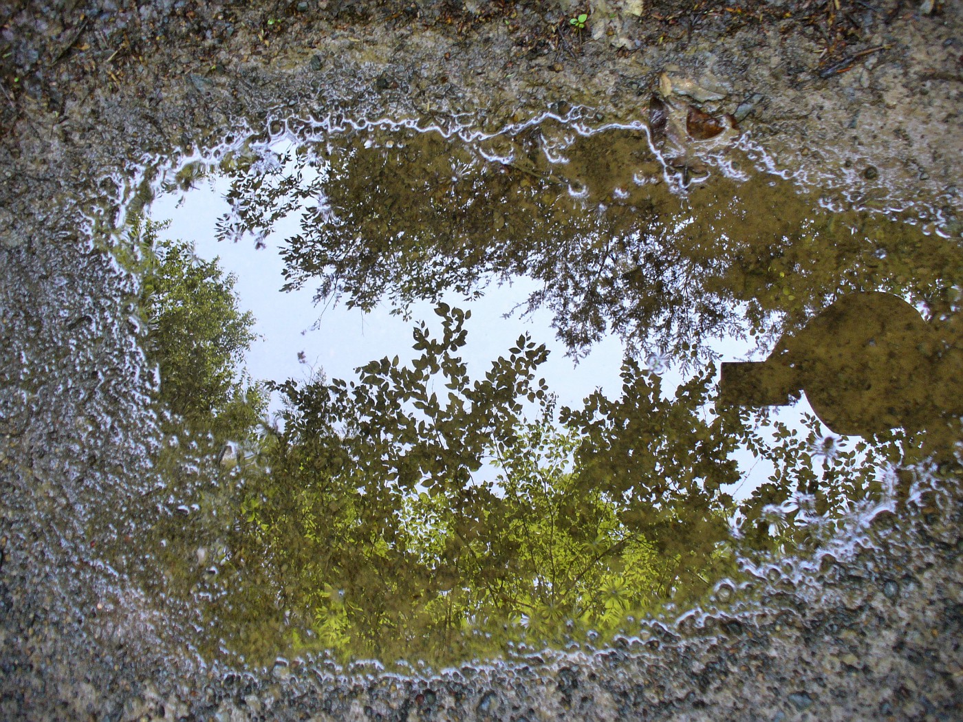 concentrador philips