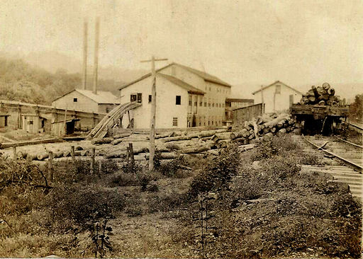 "Clothes Pin Factory" at Norma, Scott, TN, in the early 1900s. South to North view.