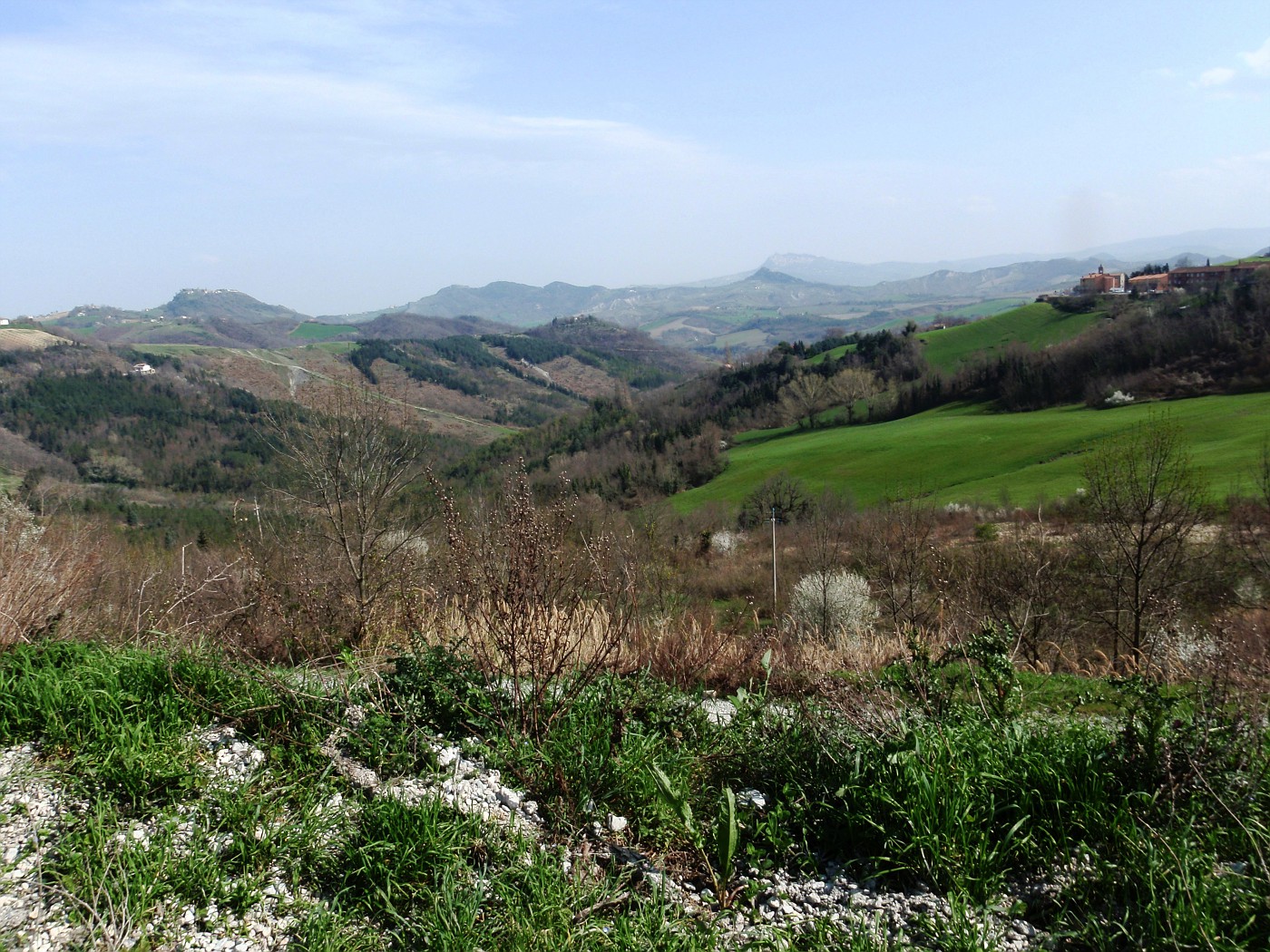 Paesaggio a Sogliano