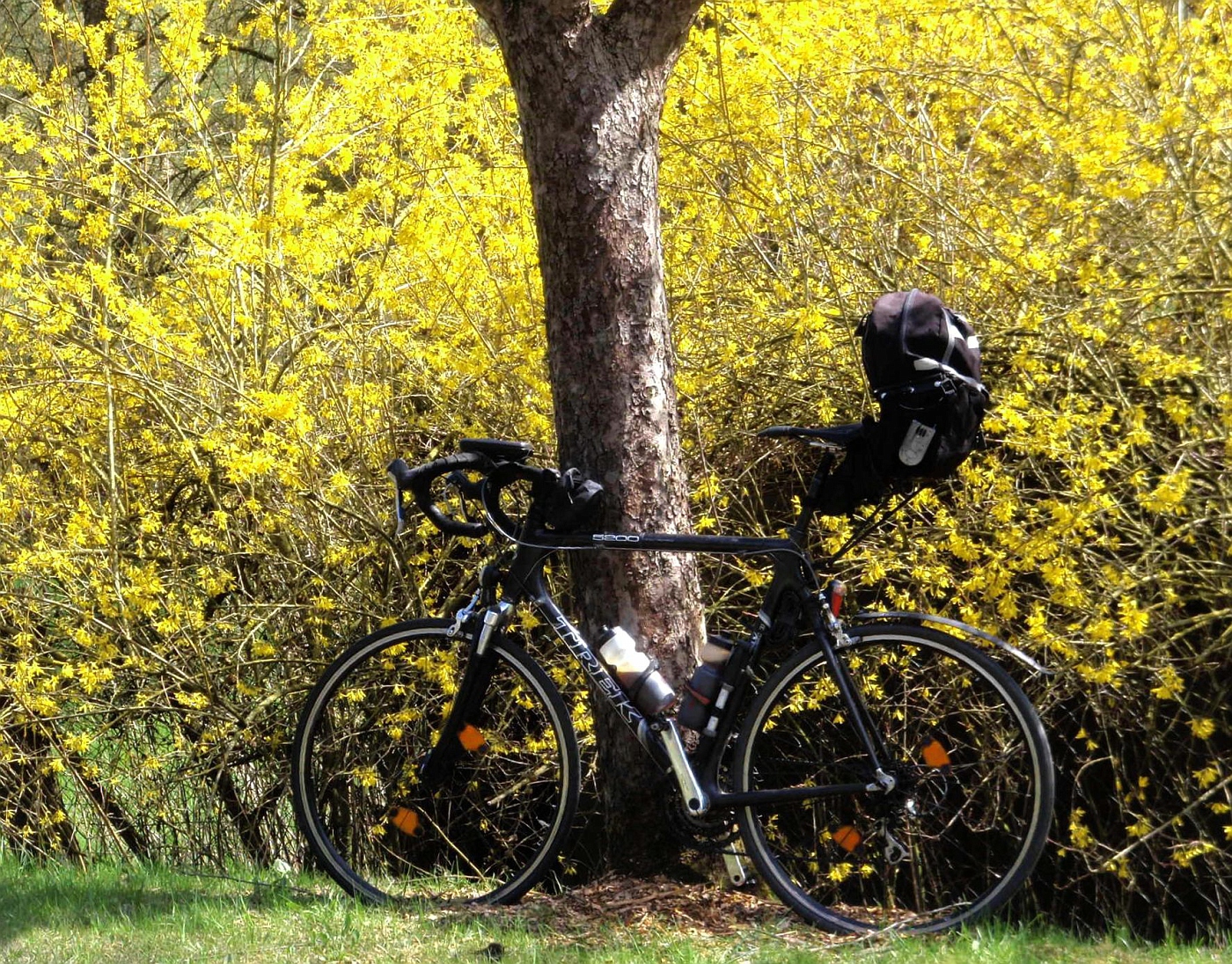 Der Frühling ist sichtbar!