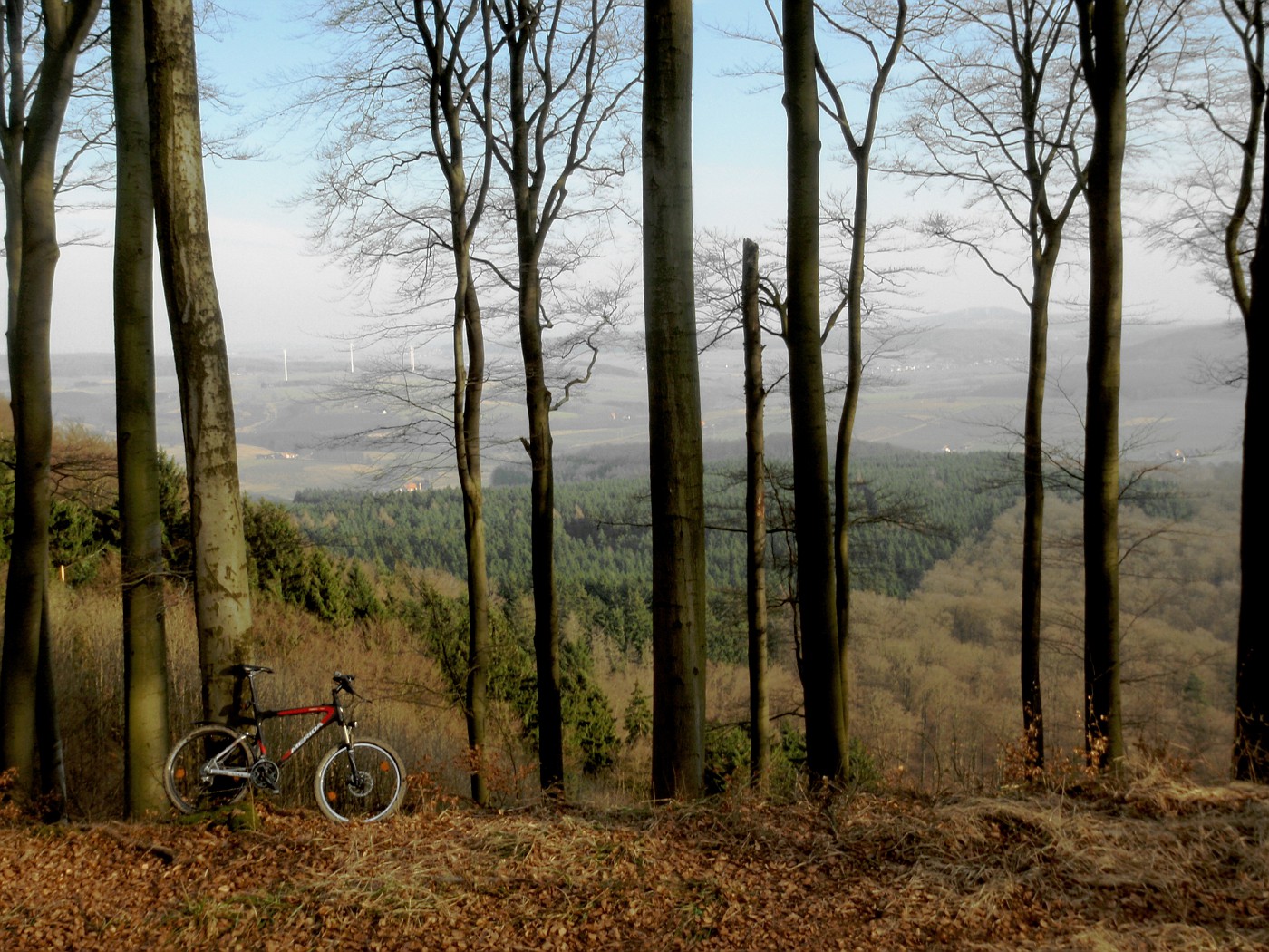 Blick von der Herlingsburg