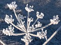 Erste Sonnenstrahlen am frostigen Morgen