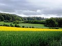 Regenwolken über'm Pyrmonter Berg