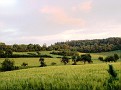 Abendröte über'm Dachsberg