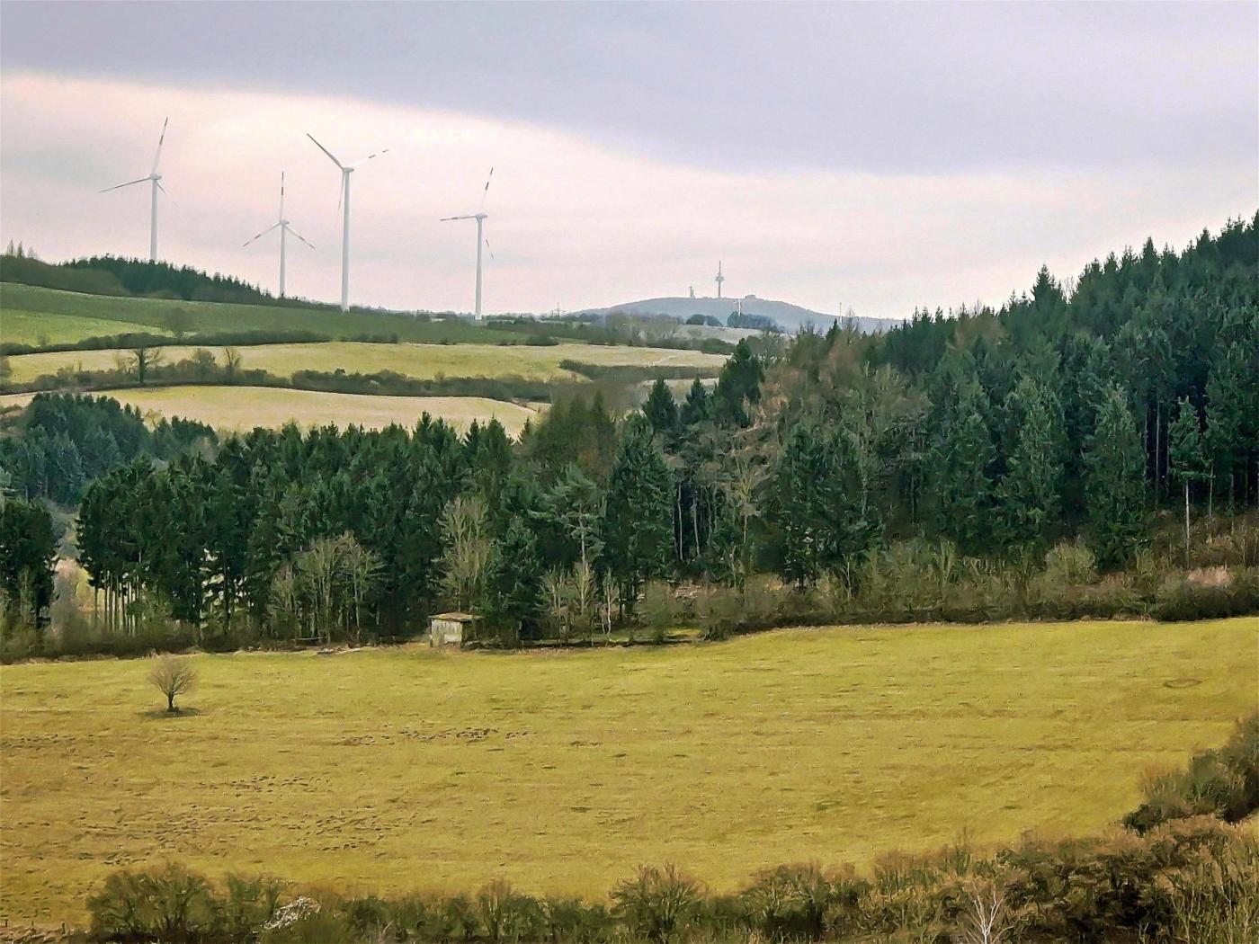 Der Frühling ist noch sehr zaghaft