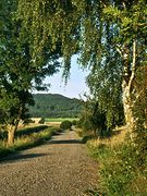 Radlwetter