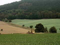 Die Zuckerrübenernte hat begonnen