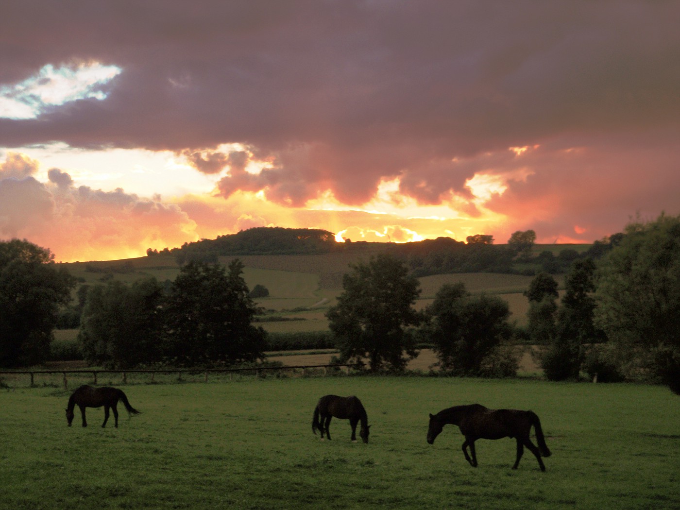 Abendstimmung