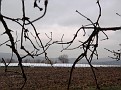 Photovoltaik-Anlage Wendlinghausen