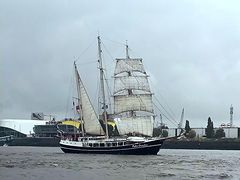 Segelschiff vor Steinwerder