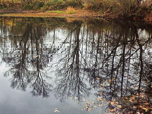 Wöbbeler Teich