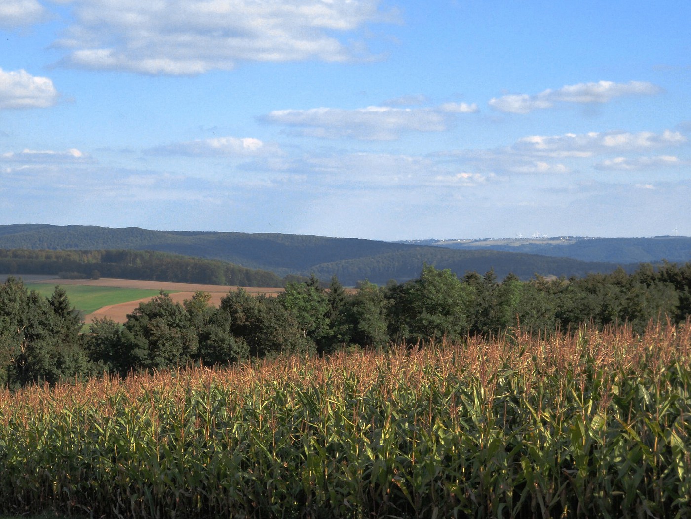 Maisfeld Uhlental