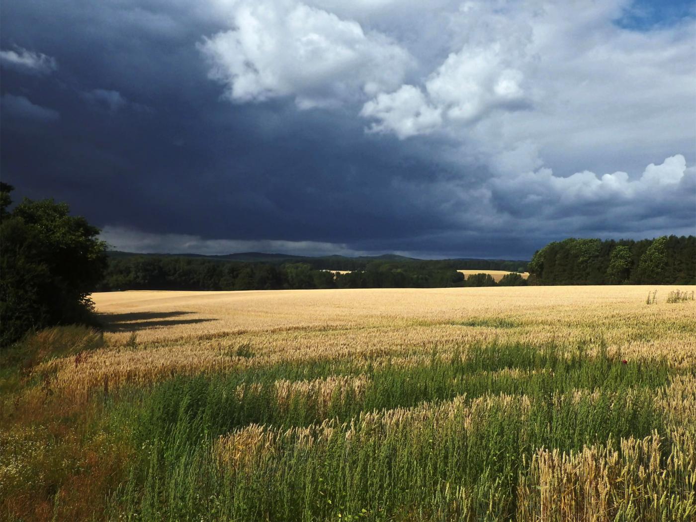 Sommerwetter?