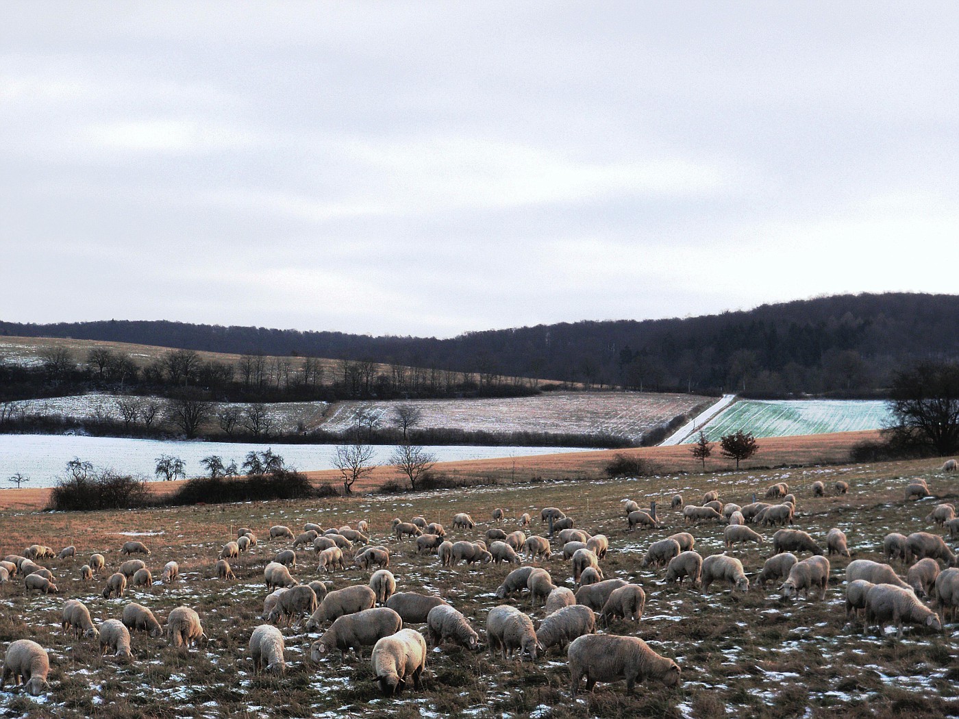 Dicke Wollpullover schützen vor Kälte :-)