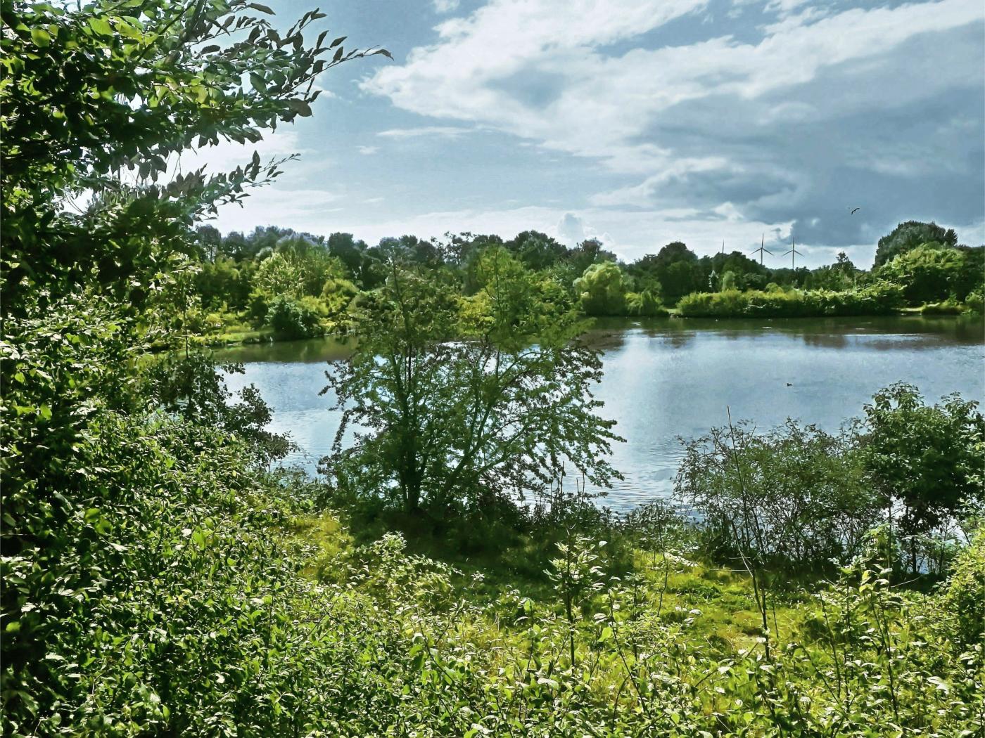Naturschutzgebiet Büllinghausen