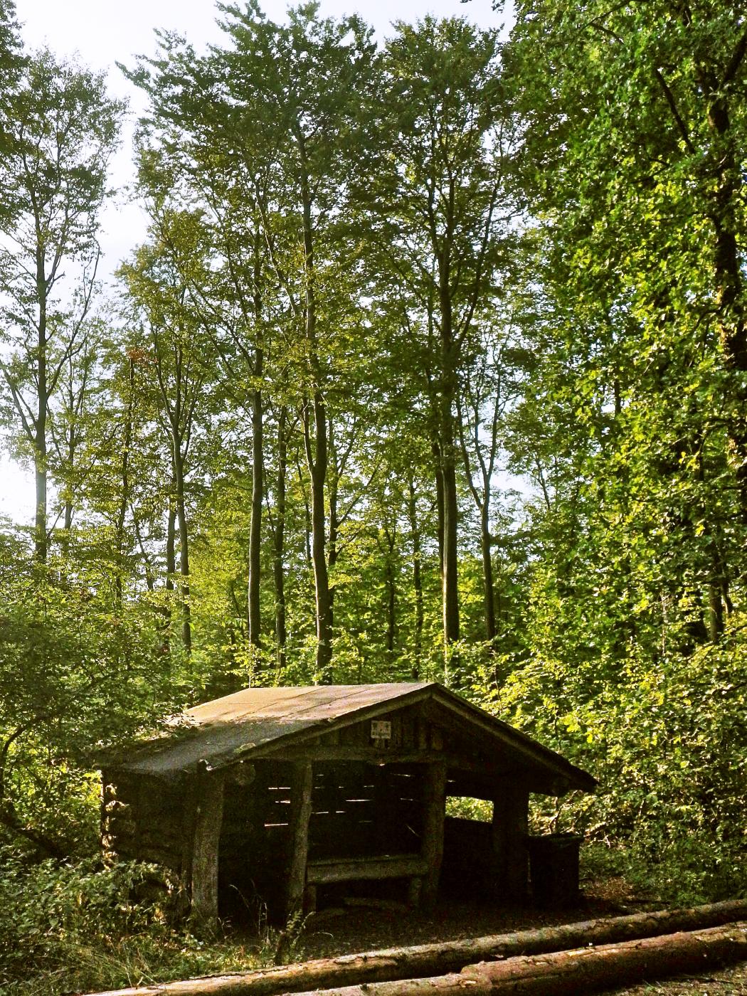 Picknickhütte Barntruper Forst