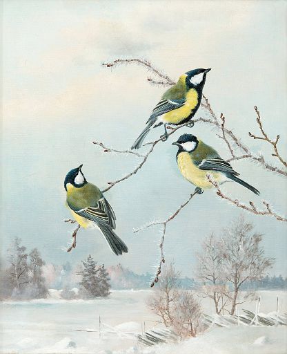 Great Tits (1898)