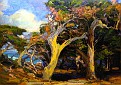 Windswept Twisted Cypress [undated]