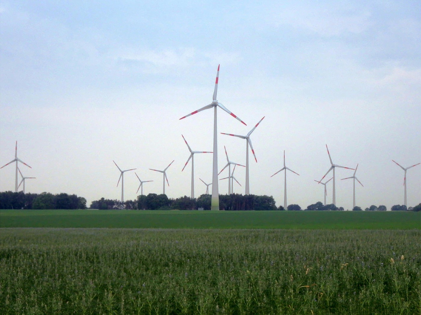 Windpark bei Brunau